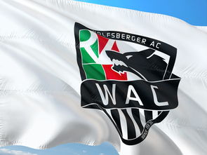 九游官网入口地址-“腰旗橄榄球：东部新区赛场充满热血与战术”  第2张